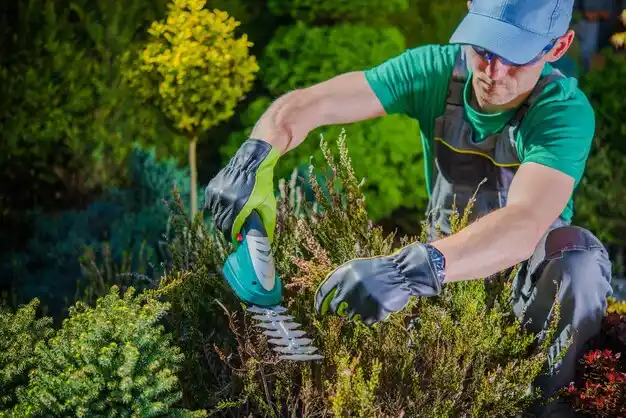 landscaping services Reed City